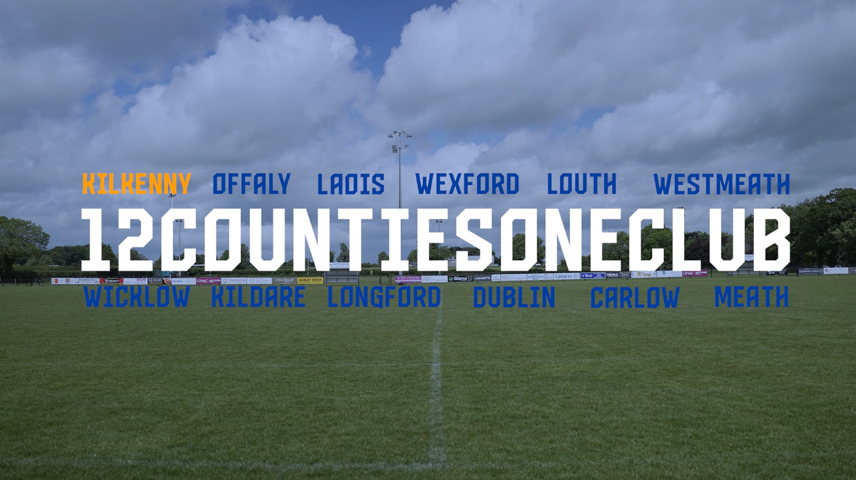 Leinster Rugby Flags