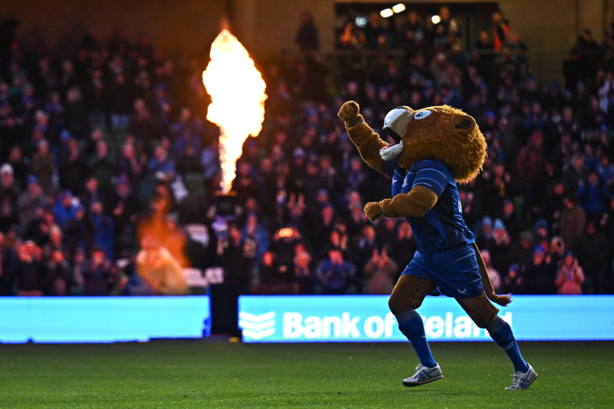 Leinster Rugby Flags