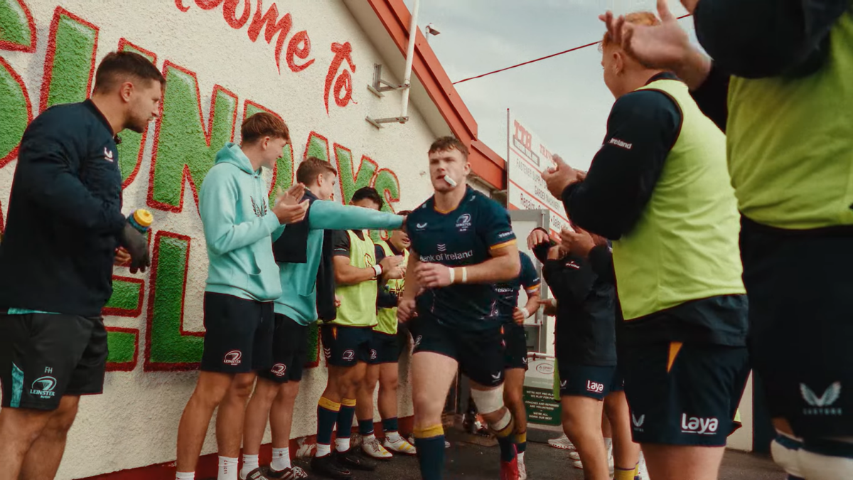 Leinster Rugby Flags