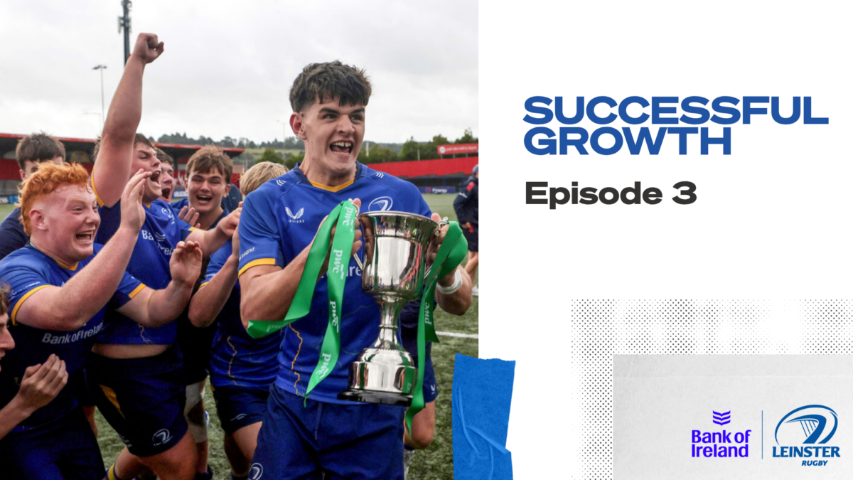 Leinster Rugby Flags