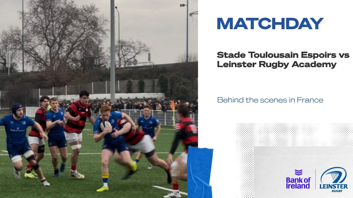 Leinster Rugby Flags